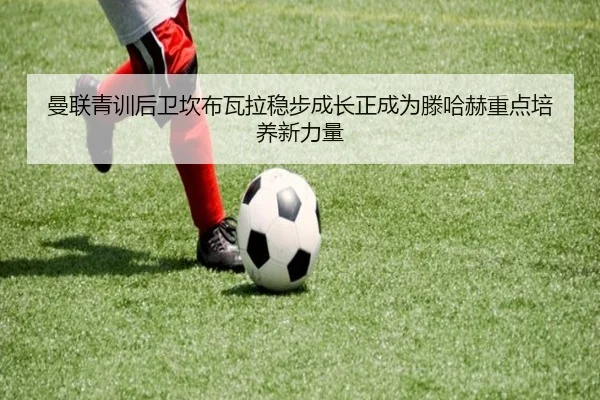 img_1783354985824_64_1_812.jpg
